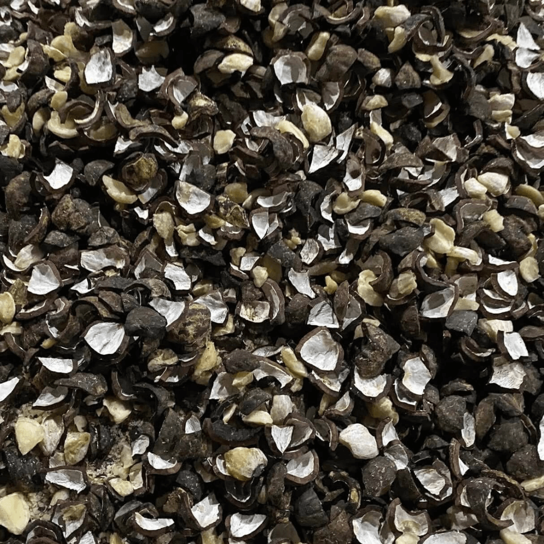 Candlenut Shell indonesian export product